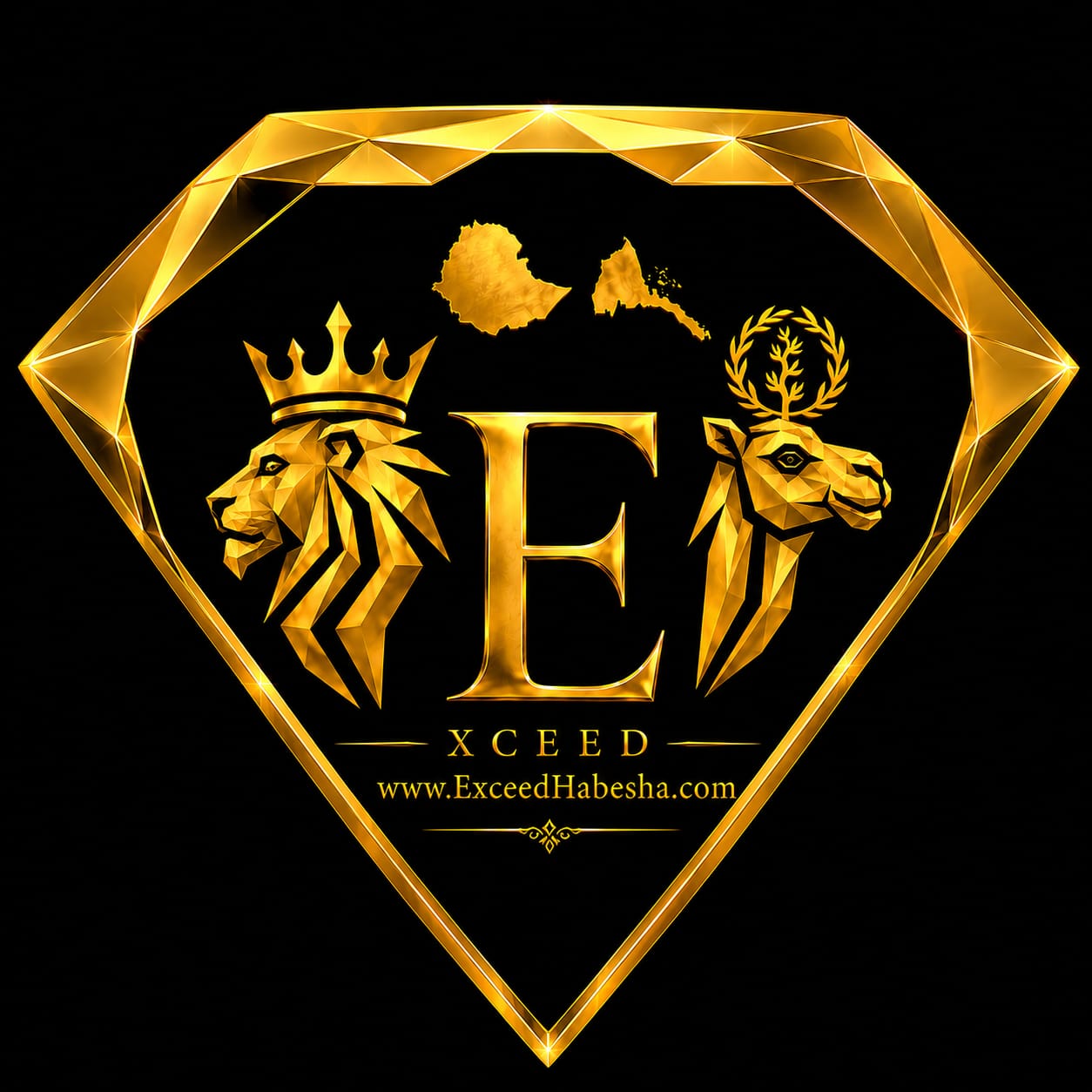 EXCEEDHABESHA.COM
